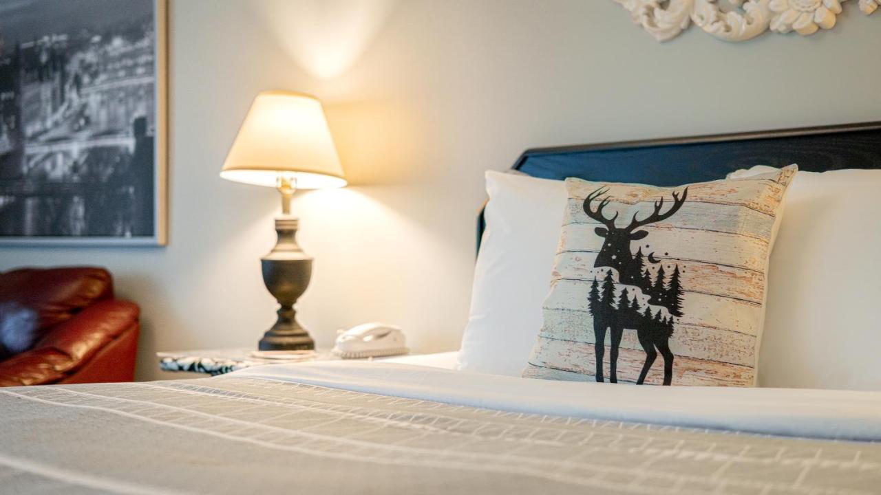 קאנמור Mountain View Inn מראה חיצוני תמונה